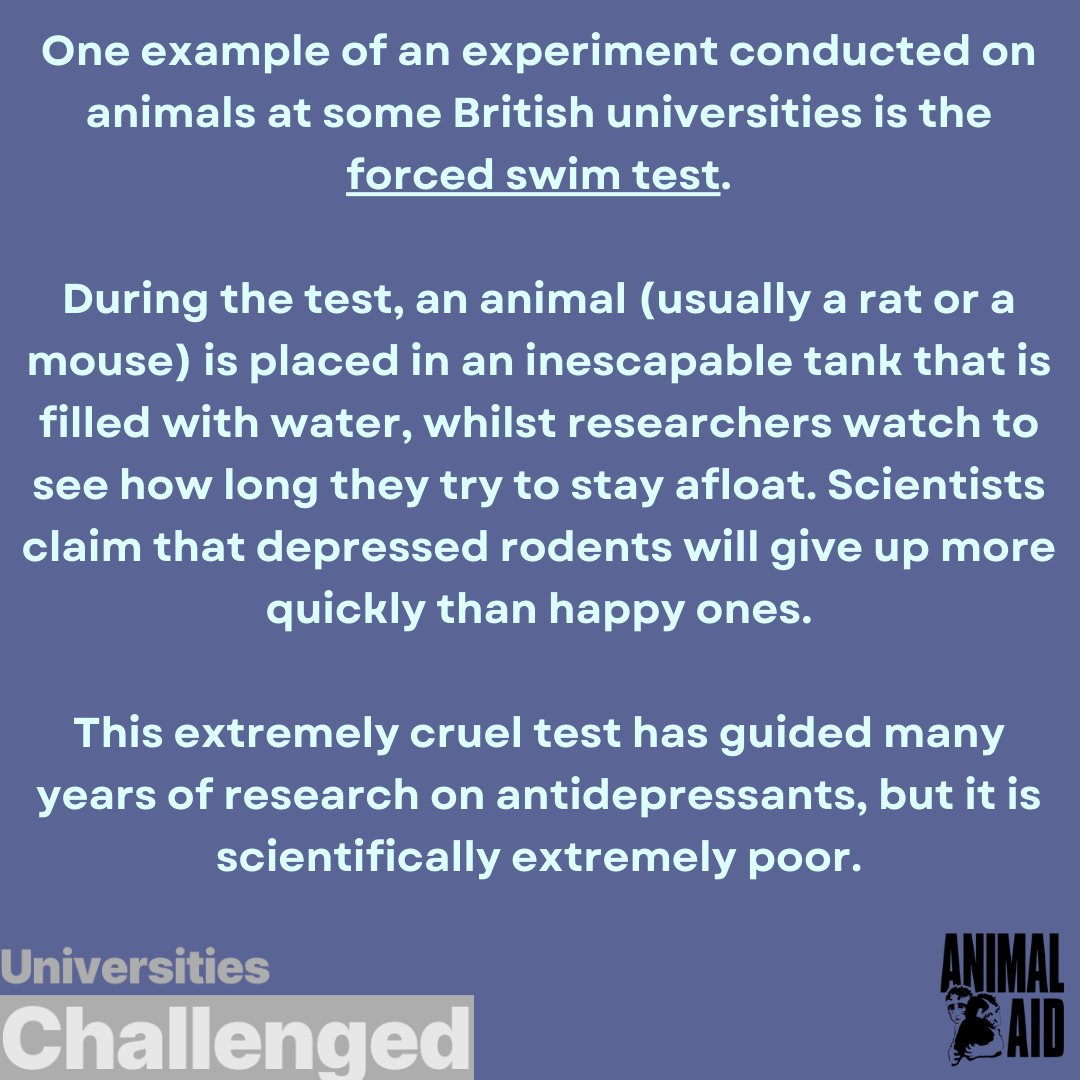 🚫 Enough is enough! It's time to put an end to cruel experiments on innocent animals! 🐾💔 Join us in raising our voice against this outdated practice at universities.