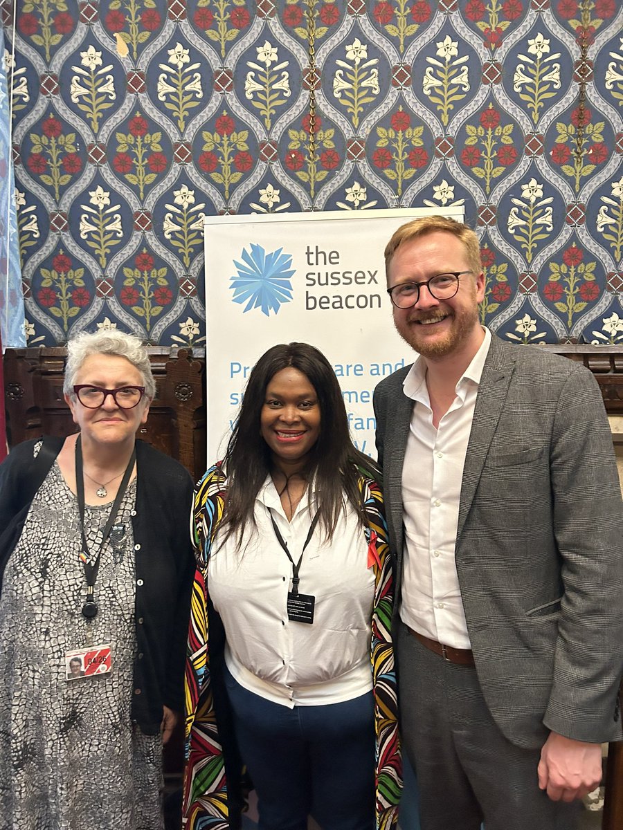 Baroness, MP and little (fat) me. @lloyd_rm @APPG_HIV_AIDS @sussexbeacon @ShaunMellors we had a productive session in @UKParliament together we are strong 💪🏽