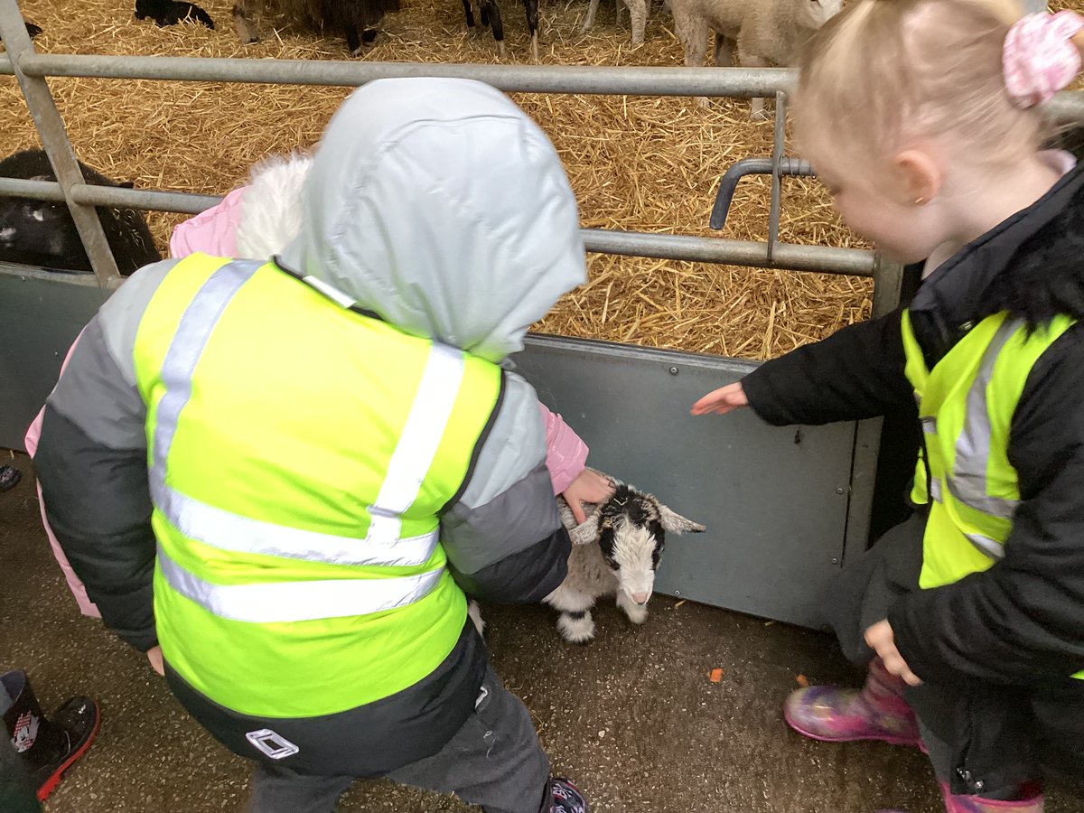 Last week 1LW went on their class trip to Reddish Vale Farm. We had great fun meeting and feeding some of larger animals at the farm. #classtrip#learningaboutanimals #feedingtime