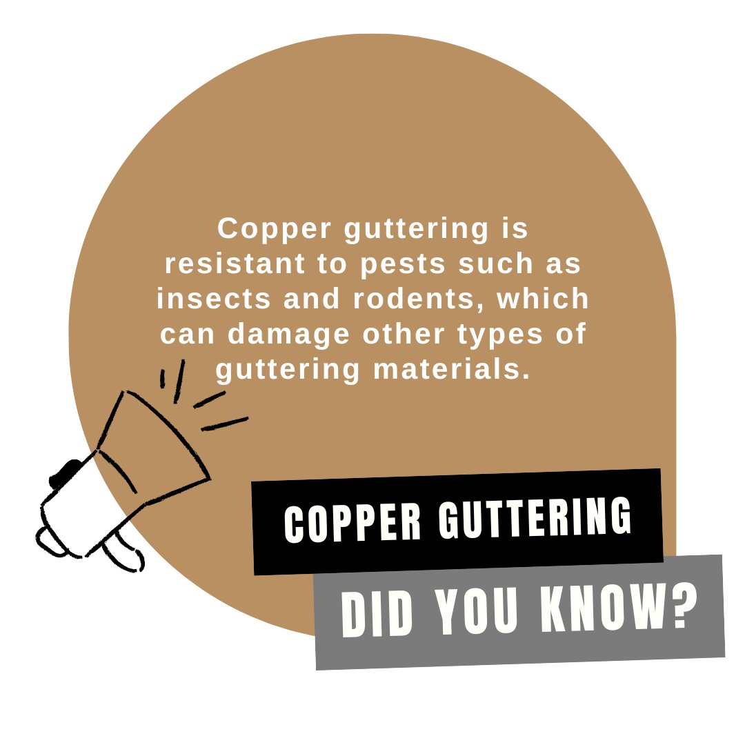 #coppergutter #copper #guttering #rainwatersystems #faqs #metalguttering #rainwaterharvesting #seflbuild #renovation #oakframe #newbuild #castiron #aluminium #steel #plastic