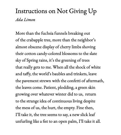 'Fine then, I’ll take it, the tree seems to say, a new slick leaf unfurling like a fist to an open palm, I’ll take it all.' Instructions on Not Giving Up, Ada Limón