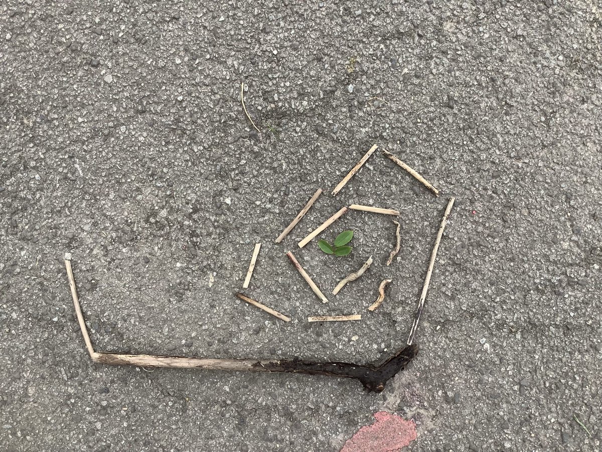 Chandlers Ridge Y2 tweet media