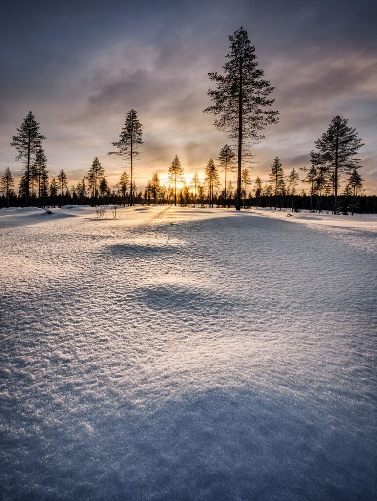 New Photo: Negative Footprints 
Check out the full post over at: buff.ly/4bbUSkk 

#cloudporn #finland #forest #hiking #landscape_captures #landscape_lovers #landscapephotography #landscapes #lapland #lappi