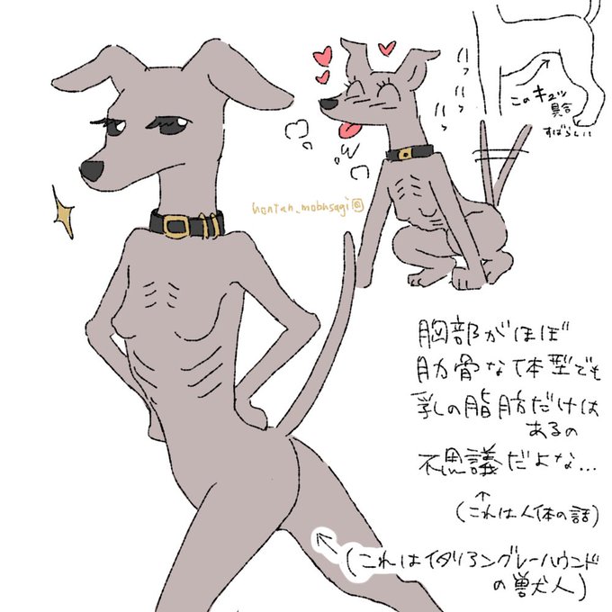 ã€ã¿ãªã¢ã³ã°ã¬ãŒããŠã³ãã®ç£äººã¡ã¹ã±ã¢