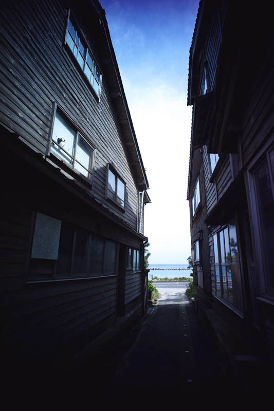 azuazu03171's tweet photo. #snap #TAKENO
#Leica #M9P
#FUNLEADER #18mm
シ ヲ ノ カ オ リ https://t.co/03blvCOCYT