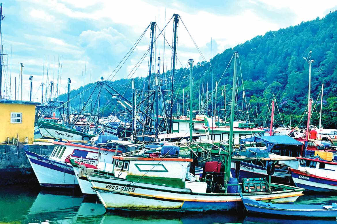 Another few miles up the coast from Camburi, the town of Maresias serves as a starting point for some of the region’s most appealing nature expeditions. Head on a half-day guided boat tour of the nearby islands. bit.ly/3Uy8FMU