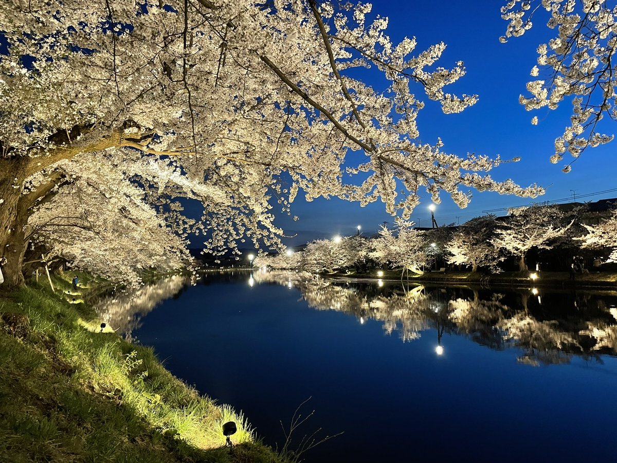 空と水面の青が、深くなってきました。

2024.4.21
#さくら #桜
#cherryblossom #sakura
#弘前さくらまつり
#弘前公園
#弘前市 #青森
#aomori #japan
#ファインダー越しの私の世界
#写真好きな人と繋がりたい
#東北が美しい #東北でよかった
#キリトリセカイ
#ダレカニミセタイケシキ