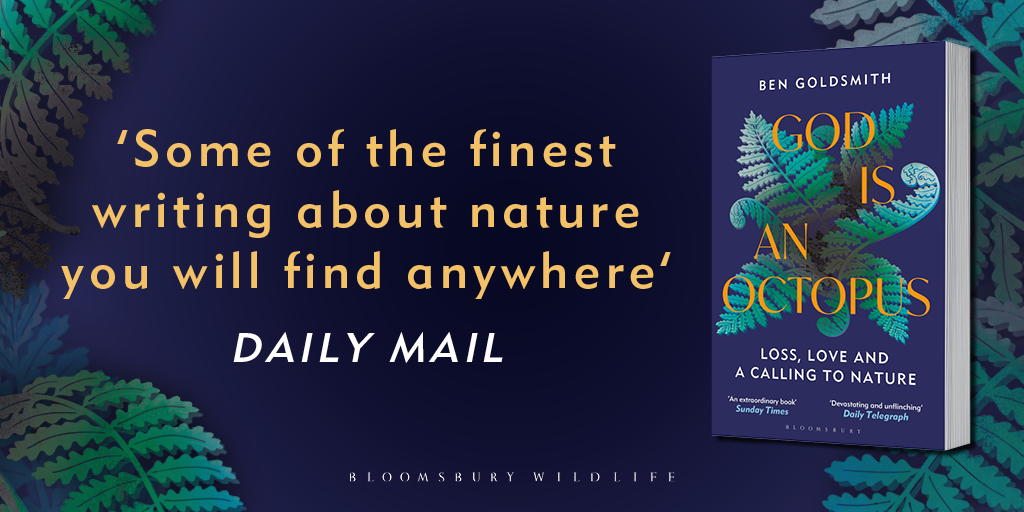 'Some of the finest writing about nature you will find anywhere' Daily Mail In God is an Octopus, @BenGoldsmith tells the moving story of how he immersed himself in rewilding his family farm in his daughter's memory. God is an Octopus is out in paperback on 9th May.