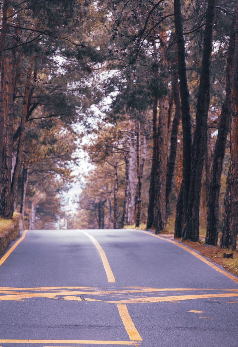 "Bizde kış yok, dört mevsim bahar biziz…" 🍂🍃 

Adminin yürürken dinlediği şarkı, peki sen ne dinliyorsun?🎶 🎧

📸 Instagram | yusuf1maz