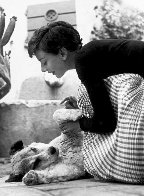 Philippe Halsman
Audrey Hepburn, Rome, 1954
