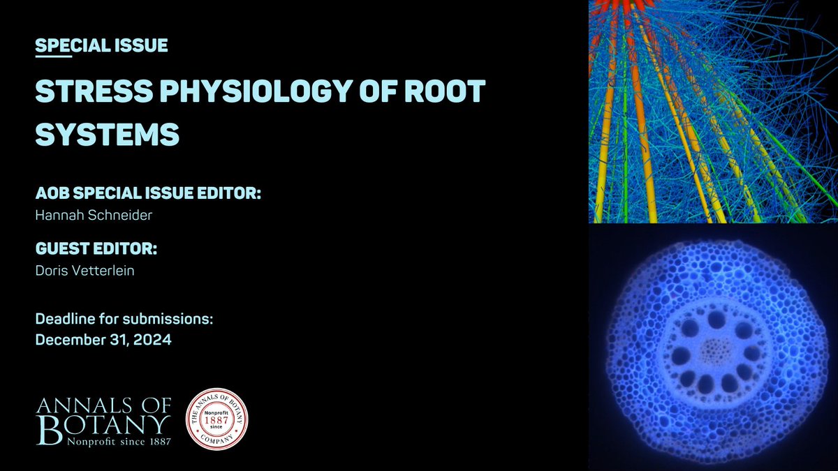 Annals of Botany (@annbot) on Twitter photo 🌱<a href="/annbot/">Annals of Botany</a> announces a new special issue entitled "Stress Physiology of Root Systems", edited by Hannah Schneider and Doris Vetterlein. This call for papers is in conjunction with the International Society of Root Research Conference to be held in Leipzig during June 2024. (1/4) 🌱<a href="/annbot/">Annals of Botany</a> announces a new special issue entitled "Stress Physiology of Root Systems", edited by Hannah Schneider and Doris Vetterlein. This call for papers is in conjunction with the International Society of Root Research Conference to be held in Leipzig during June 2024. (1/4)