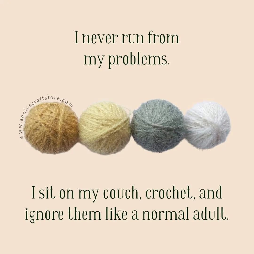 🤪😂🤷‍♀️ @anniescatalog #yarn #fiberartist #ourmakerlife #crochet #crocheting #crocheted #crochethumor #yarnhumor #happy #humor #cute #love #funny #lol #lmao #diy #funnymeme #howtocrochet #crochetmeme #memes #handmadehumor #handmade #makersofinstagram #crochetersoftheworld #meme