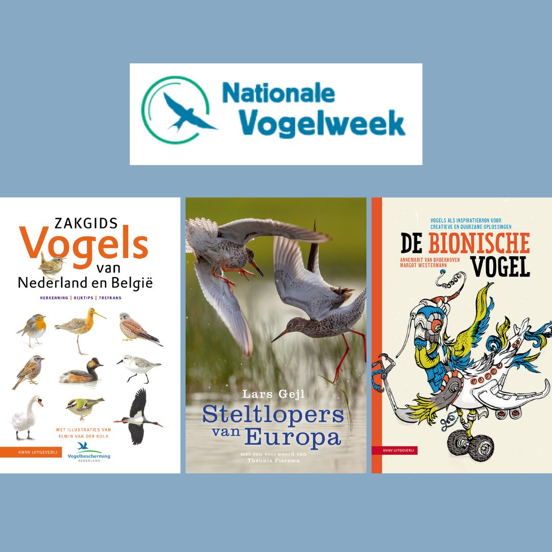 De Nationale Vogelweek 2024 komt eraan! Van 11-19 mei organiseert Vogelbescherming allerlei extra excursies door het hele land. Ga je mee op een excursie of geniet je liever vanuit huis met een mooi boek van de vogels? 🐦

➡️knnvuitgeverij.nl/artikelen/voge…
➡️vogelbescherming.nl/nationale-voge…