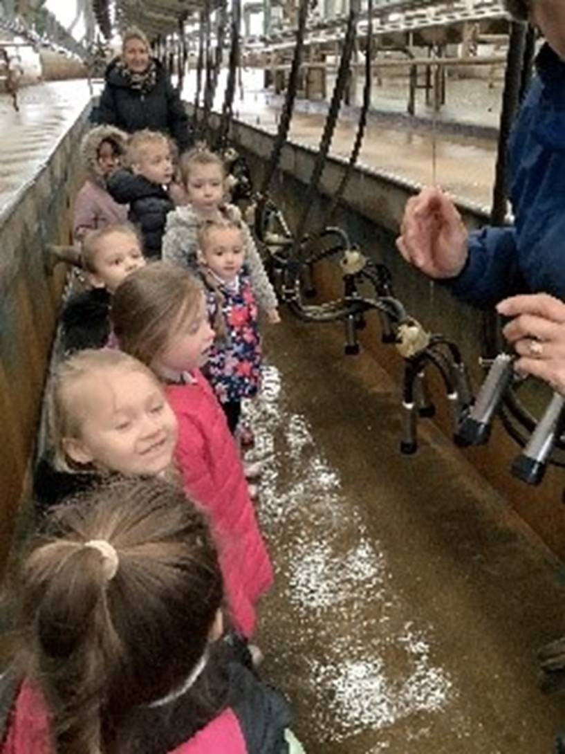 Foundation children have enjoyed a tour of a #dairyfarm and saw where the cows go to be milked and met some baby calves who were playing chase with them. The children tasted the milk and learned what products milk is used for, such as cheese :-) #primaryeducation #downonthefarm