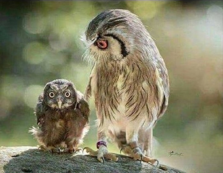 AgatheDeblouz's tweet image. Quand tu penses avoir lâché un prout en loucedé, pis en fait, nan.

#Oopsie
#JeudiPhoto