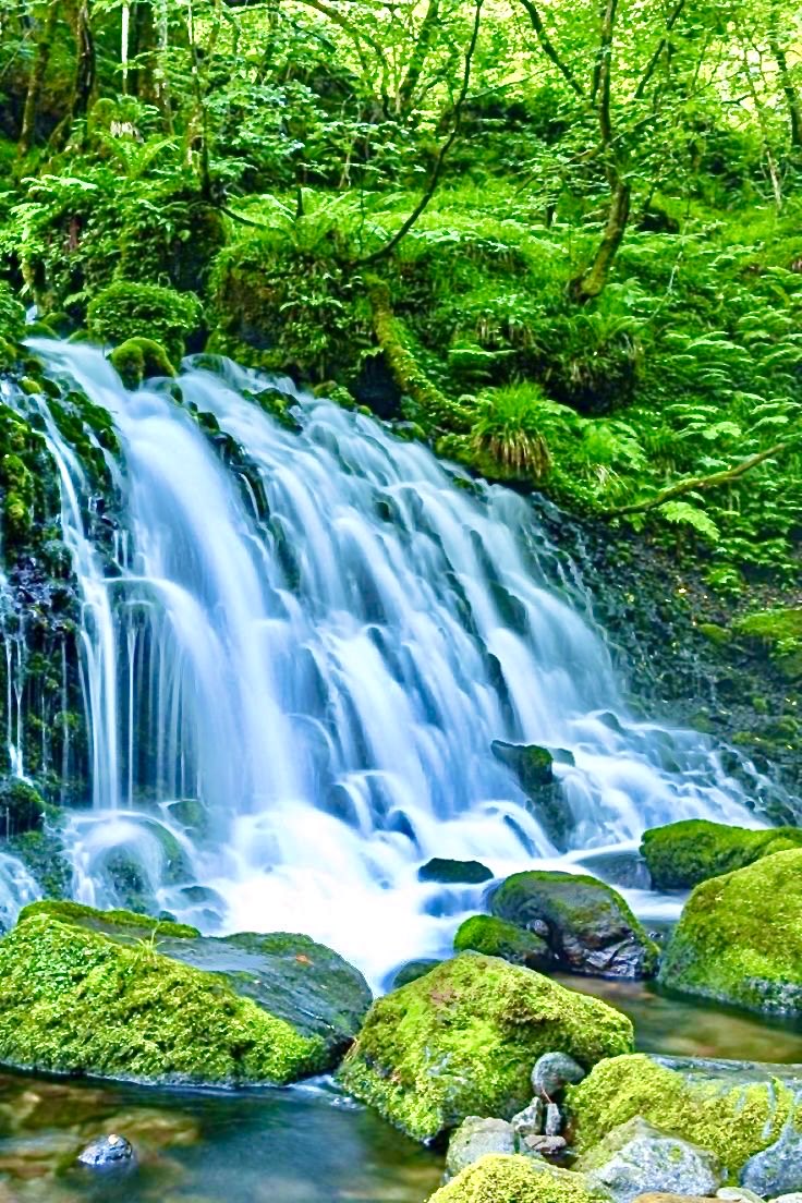 『元滝伏流水』秋田県 日本🇯🇵🗾🏞💧💦🩵🌿