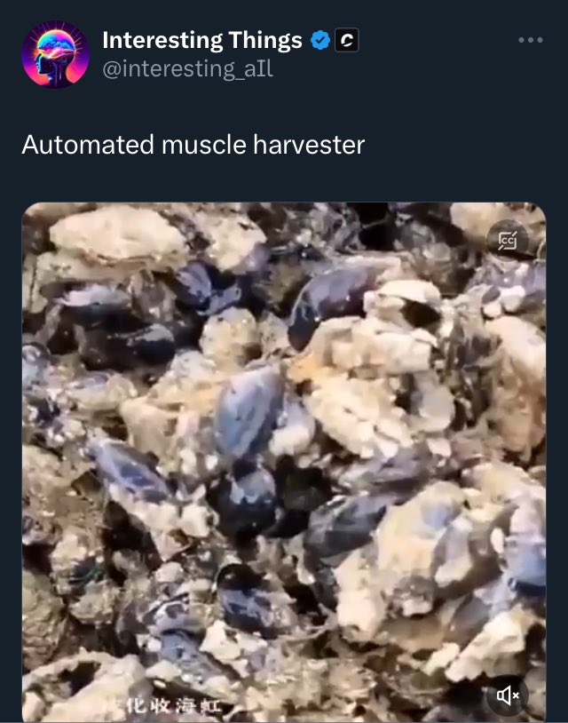 You harvest mussels, I harvest Muscles. We are not the same.