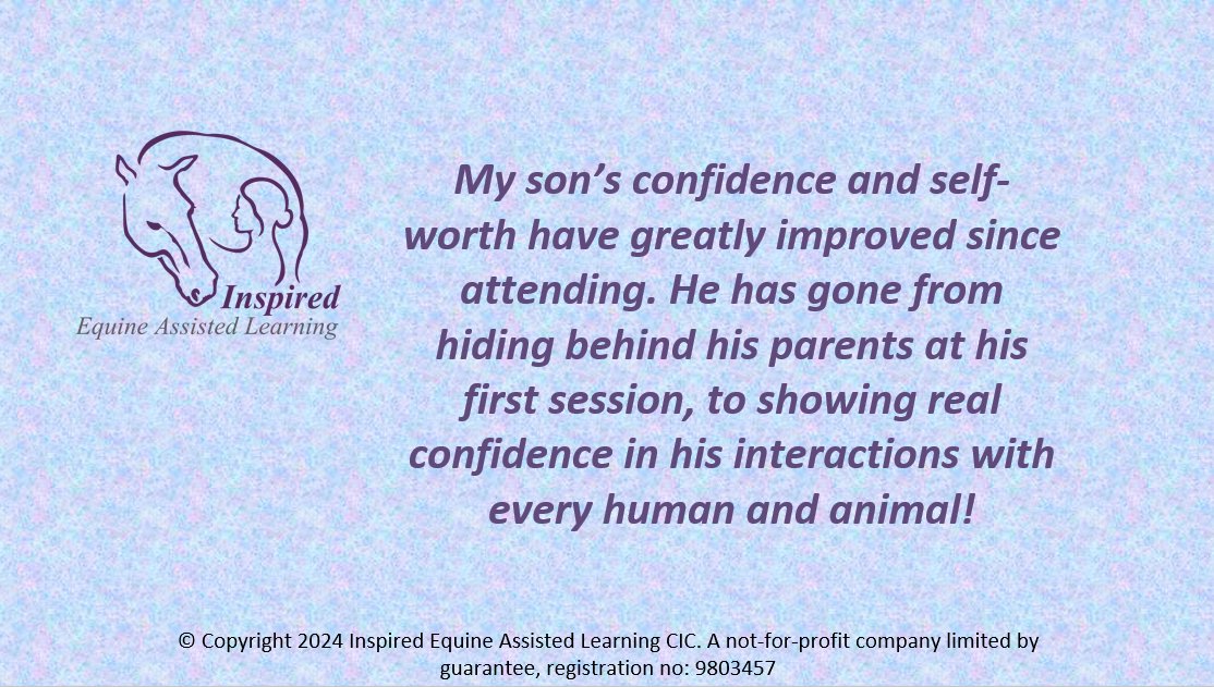 We’ve recently gathered some more feedback about our project for children with neurodevelopmental differences, everyone remarks on how working with our horses helps improve confidence, here’s an example. #equinetherapy #childdevelopment #confidence #lincsconnect