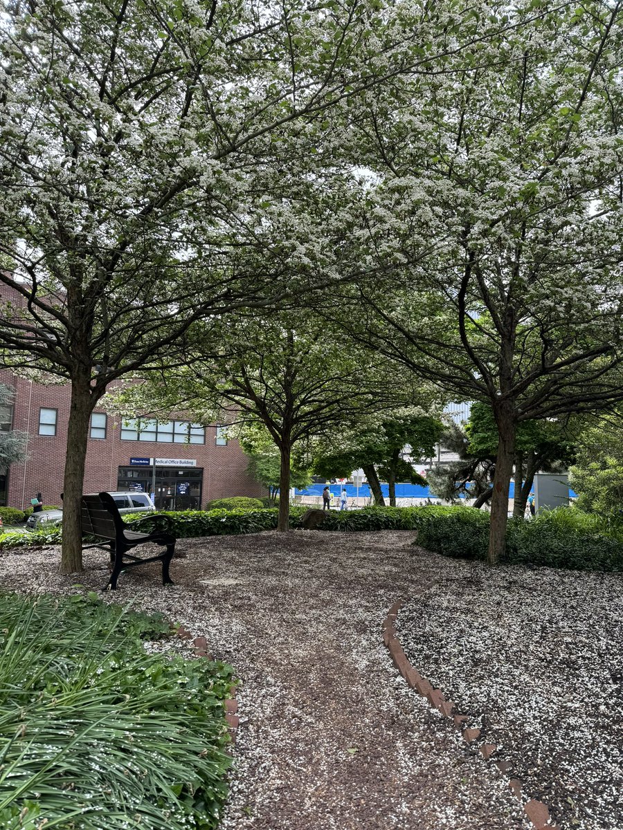 Subha Airan-Javia MD FAMIA (she/her) (@subhaairan) on Twitter photo Thankful for this beautiful space to sit and wait for my loved one whoās getting his screening colonoscopy
<a href="/PennMedicine/">Penn Medicine</a> #coloncancerscreening Thankful for this beautiful space to sit and wait for my loved one whoās getting his screening colonoscopy
<a href="/PennMedicine/">Penn Medicine</a> #coloncancerscreening