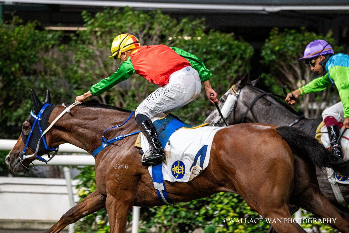 Jumbo Legend ridden by Vincent Ho won by a nose over 1650m at Happy Valley on Wednesday night
#superjockey #Horse #hkracing #hkphotographer #art #horsephoto #調教師 #horseracing #jockeys #騎手 #競馬場 #shatinracecourse #HorseRacing #happyvalley