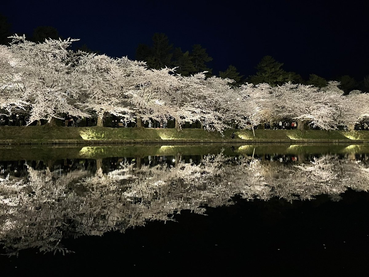 夜桜の道を散策する人々。

2024.4.21
#さくら #桜
#cherryblossom #sakura
#弘前さくらまつり
#弘前公園
#弘前市 #青森
#aomori #japan
#ファインダー越しの私の世界
#写真好きな人と繋がりたい
#東北が美しい #東北でよかった
#キリトリセカイ
#カメラ好きな人と繋がりたい
#ダレカニミセタイケシキ
