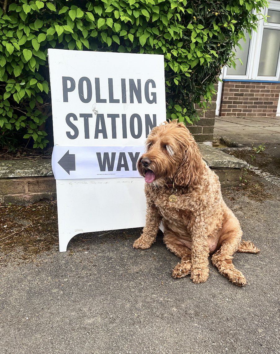 Always happy to participate in #dogsatpollingstations ❌