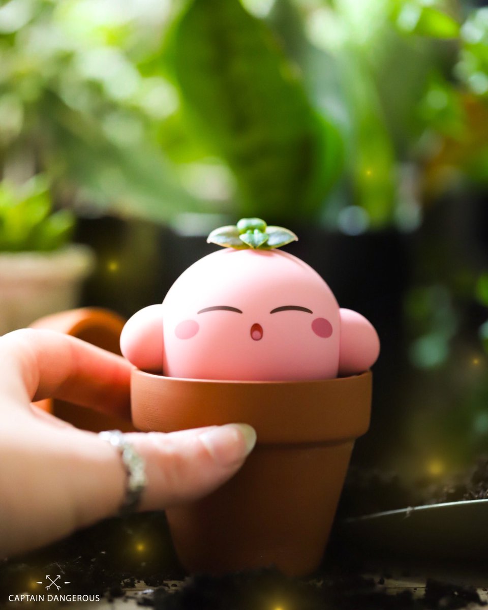 Kirby sprout 🌱 I’ve been doing so much gardening the last couple weeks. I’m growing a veggie garden for the first time since I was a little kid 🫶🏻 Fingers crossed I get a good harvest later this year 🤞🏻 At least I have Kirby to help me out 😅 #kirby