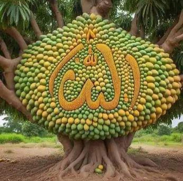 Bilqees BB (@bilqees_bb) on Twitter photo 