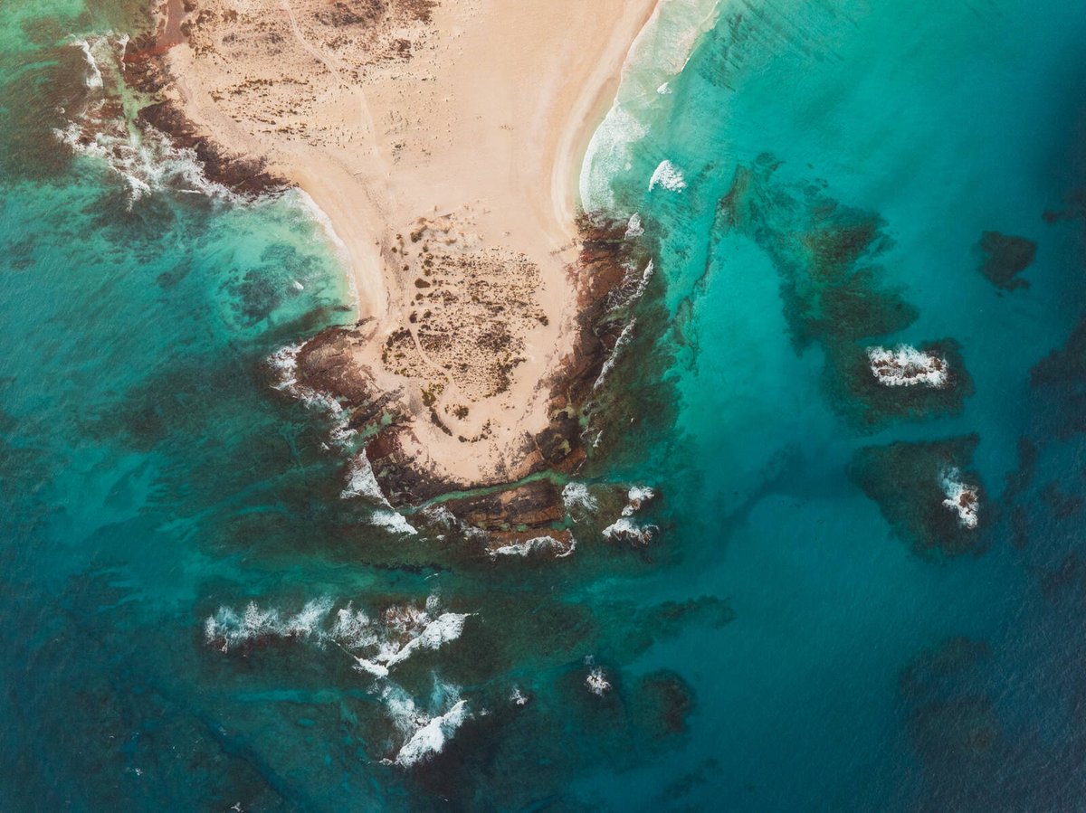 photohound's tweet photo. The #PhotoHound Guide to Socotra Island by @lukaesenko is now available on the app &amp; website! Explore 29 spots on this remote island with its unworldly, umbrella-shaped Dragon's Blood trees that are unique to this landscape. https://t.co/sCRmALFSGK #travelphotography #travelapp https://t.co/UX1b1Cwdsx