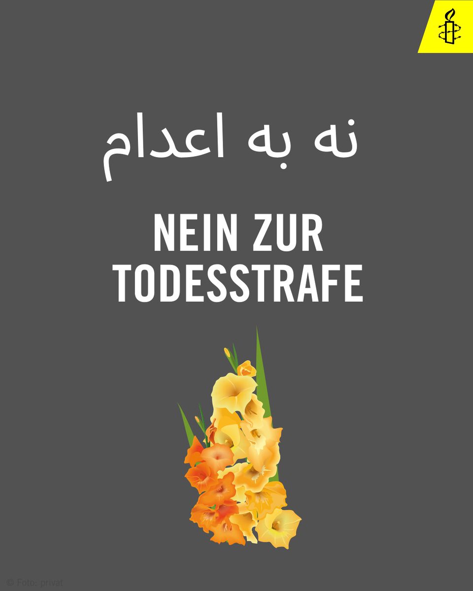 2023 wurden im Iran mindestens 853 Menschen hingerichtet. 2024 sind es bisher mindestens 95 Menschen. #Todesstrafe abschaffen! #FreeToomaj‌