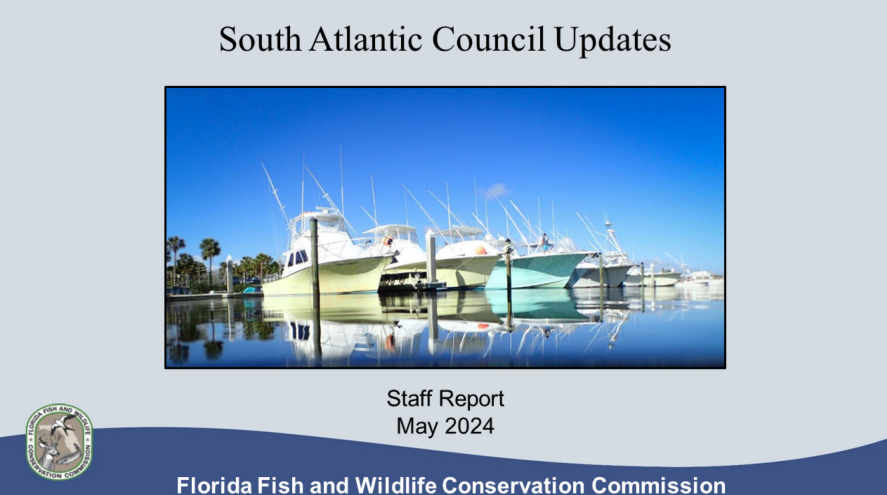 Now: South Atlantic Fishery Management Council (SAFMC) Staff Report to the Commission. Topics will include wreckfish, red snapper, black sea bass, potential for-hire limited entry, and updates on other discussions relevant to Florida. Presentation: bit.ly/3Qr9pR4…