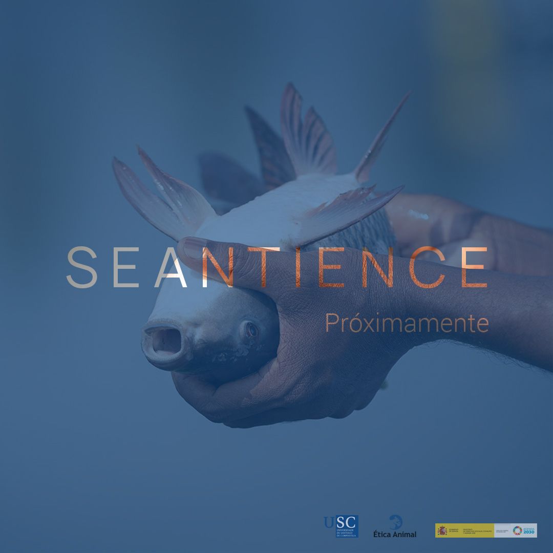 ¿Son los peces conscientes de lo que les ocurre? Numerosas evidencias científicas indican que sí pueden sentir dolor y experimentar estados mentales similares a los nuestros. Próximamente: documental 'Seantience'. Visita seantience.org #seantience