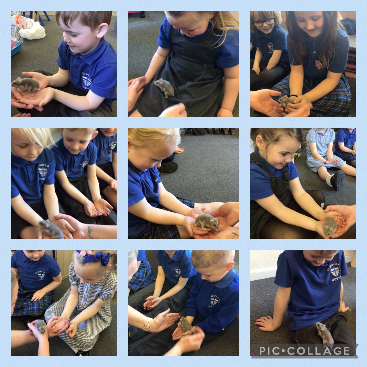 Thank you to Miss Vicky from @PlayPals_QUEST for bringing in her hamster Willow for us to observe as part of our learning. Reception class loved feeling her tiny feet tickle our hands! @CEO__Quest @QUESTtrust #workingtogether #eyfs #aweandwonder