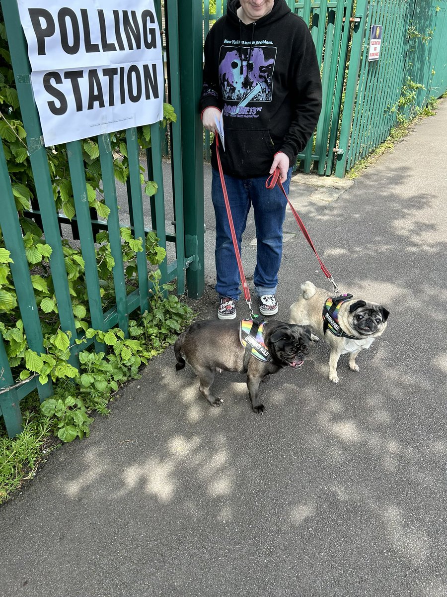 We’ve voted! Peggy and Mavis showing up to support. 🌹 #dogsatpollingstations   #pugsatpollingstations  #Manchester #Oldham #UseYourVote