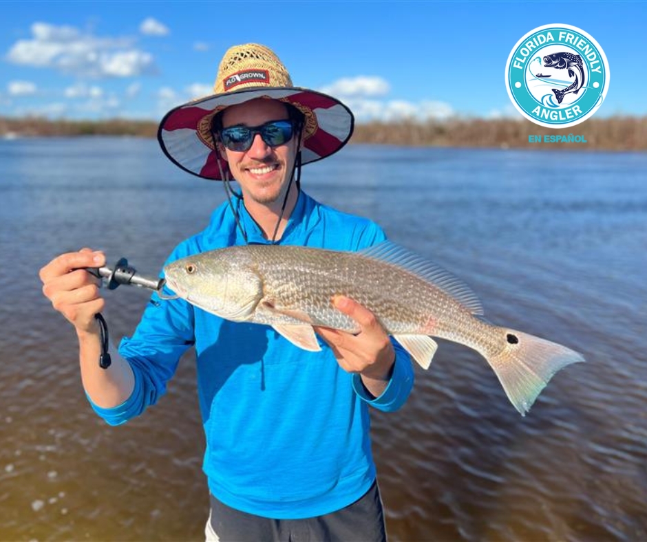 Exciting update! The Florida Friendly Angler (FFA) program is now available in Spanish. 🎣 Get the details here: bit.ly/3Qw84sn FFA was created through a partnership with the Florida Fish and Wildlife Conservation Commission, UF/IFAS Extension, and Florida Sea Grant.
