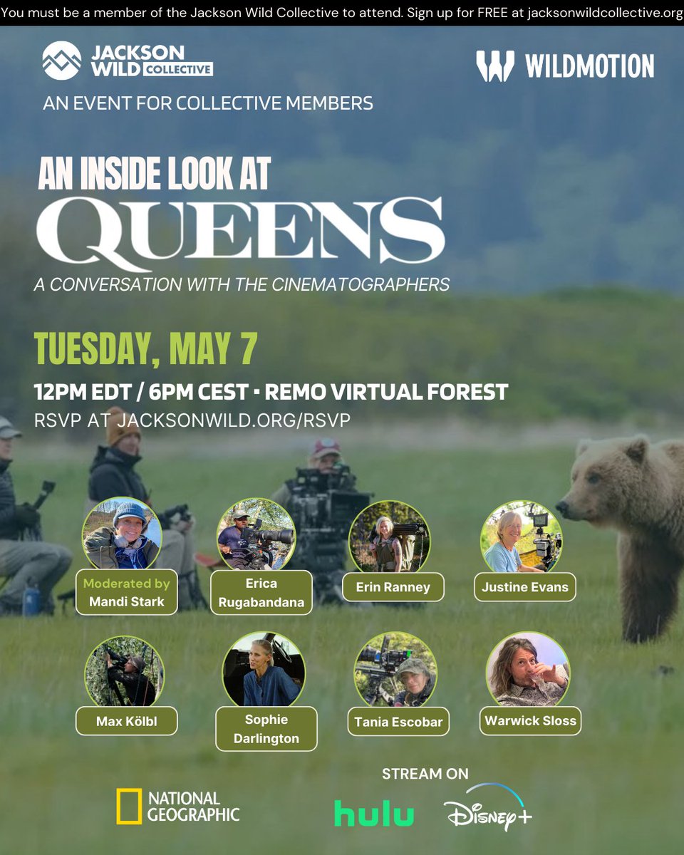 Mark your calendars! Join us next Tuesday, May 7 to get an inside look and learn from the incredible cinematographers behind @NatGeo's recently released limited series, QUEENS 👑🌏🎥 RSVP today to secure your spot: live.remo.co/e/queens/regis… #cinematography #wildlifefilm #film