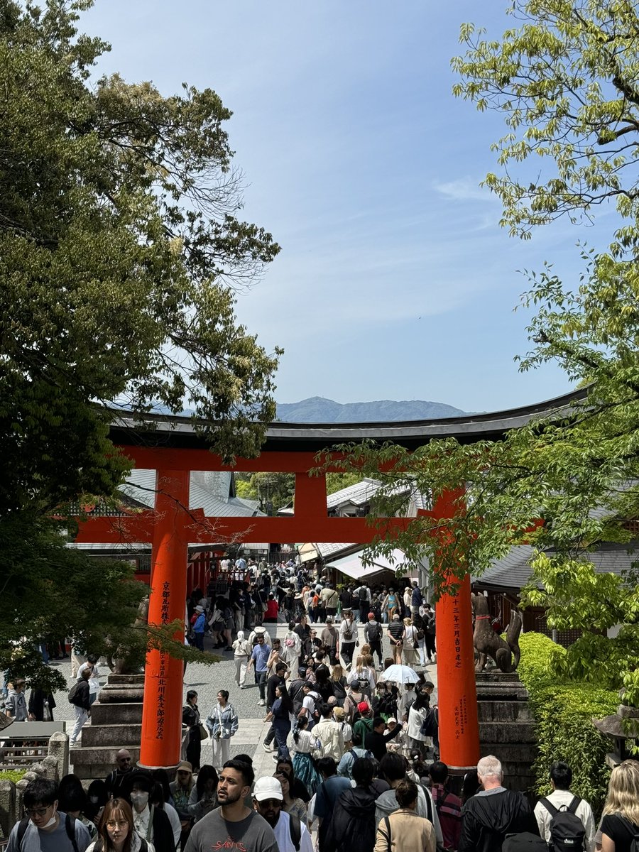 All the people entering the gates to see how much their NFT’s are worth ⛩️