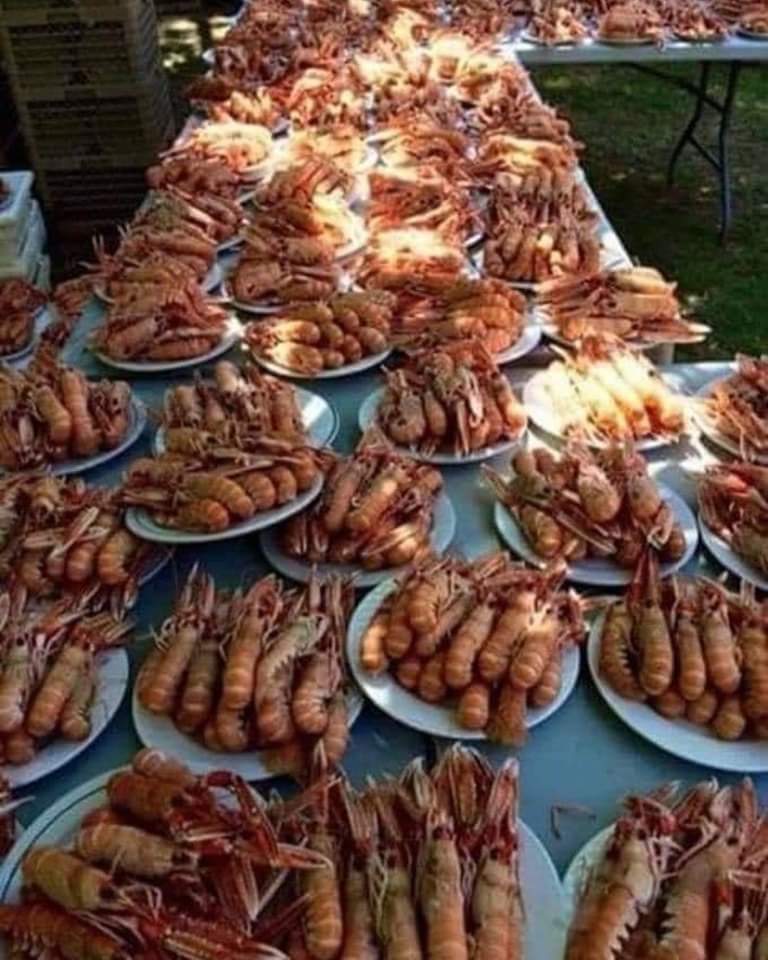 mst1953's tweet image. La comida de ayer de los sindicalistas!!
#Vagos
#ComeMariscos