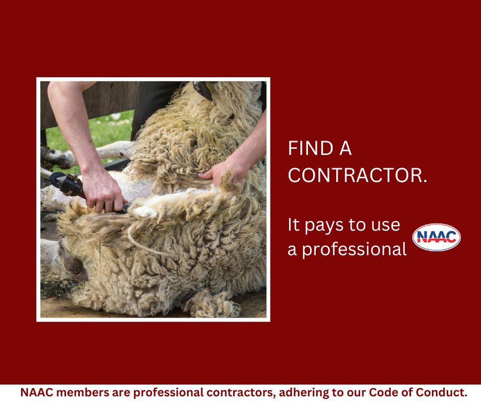 As the special exemption allows shearers to enter the UK use Find a Contractor to search by region naac.co.uk/findacontracto…

Shearers joining as livestock members > naac.co.uk/join-now/

#Sheep #AnimalWelfare #SheepShearing #GoldenShears #SheepFarming #Farming #NAAC  #AgTwitter