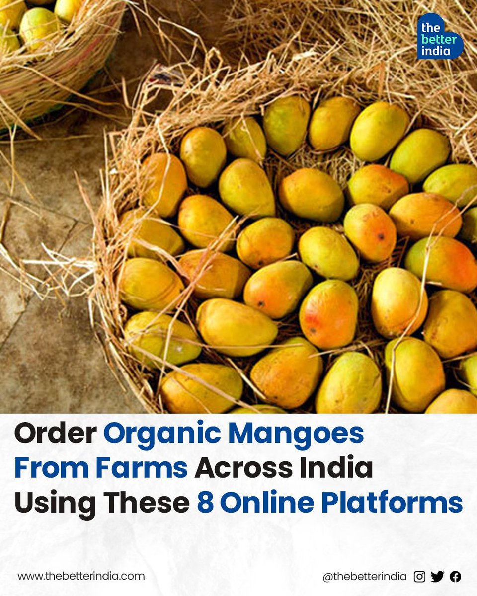 The season of 'all things aam' is here! If you haven't stocked up on mangoes yet, worry not. 

#mango #mangoseason #orderonline #farming #mangofarm #startup 

[ Order Mango Online, Organic Mangoes, Organic Mango Farm, Mango Startup, Farm to Fork]