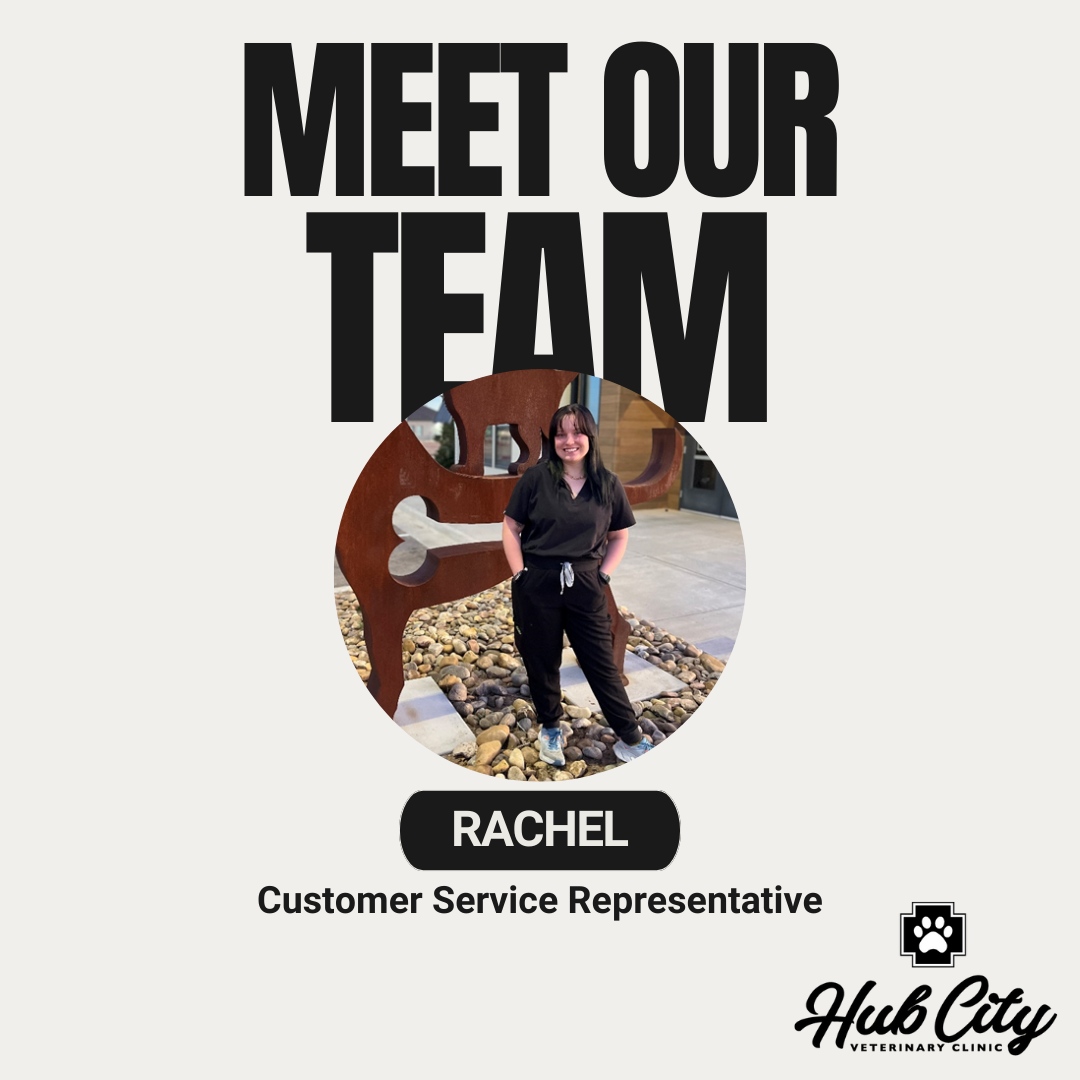 Meet Rachel! Her love for animals shines through in every interaction with our clients and their pets.

🌐 hubcityvet.com

#HubCityVeterinaryClinic #Lubbock #Veterinarian #AnimalHospital #VeterinaryClinic #PetVaccinations #AnimalClinic