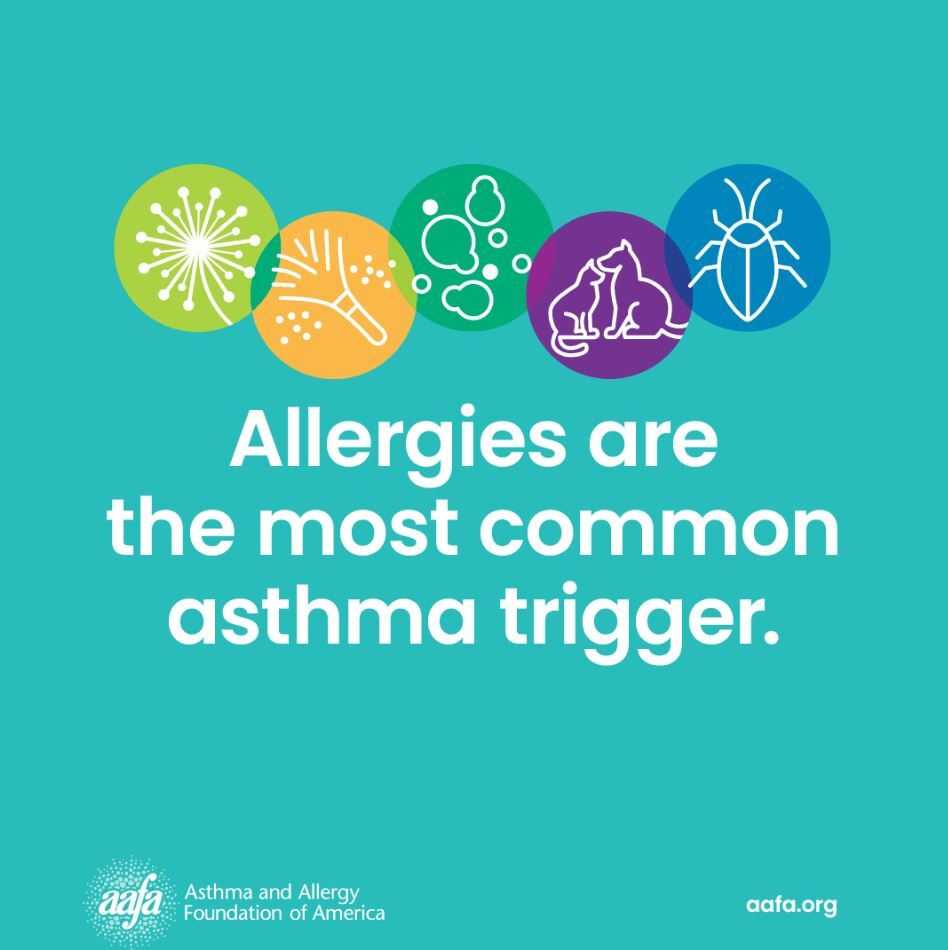 May is National Asthma and Allergy Awareness Month in #USA.
Did you know that Up to 60% of adults and 80% of kids with asthma have allergies that trigger their asthma?

#AllergyAwareness #AsthmaAwareness
Learn more: aafa.org/get-involved/a…