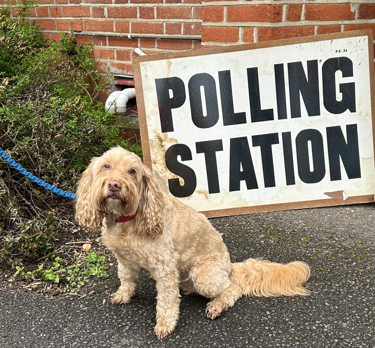 Dr Alison Farmer tweet media