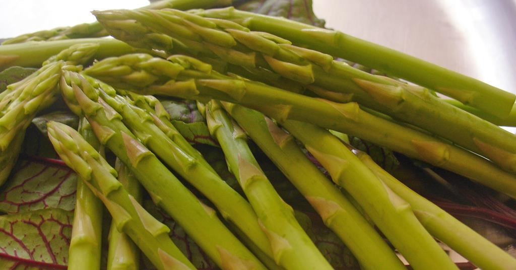 British Asparagus Conference set for June ow.ly/BV8g105rvcc