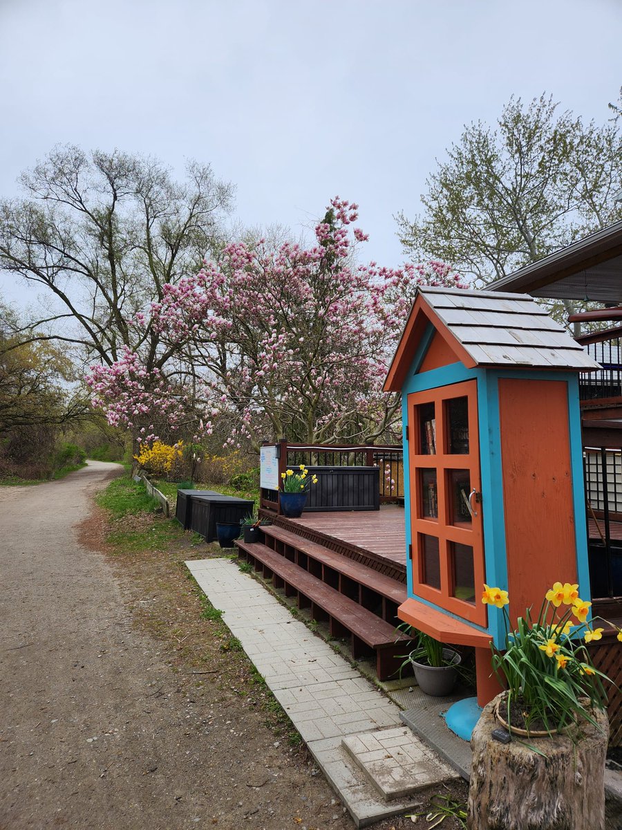 Summer-time! Some #walks some #flowers some #sun some #books in #Burlington #BurlON #Ontario #Canada @cityburlington @BurlingtonTour @BurlingtonGazet