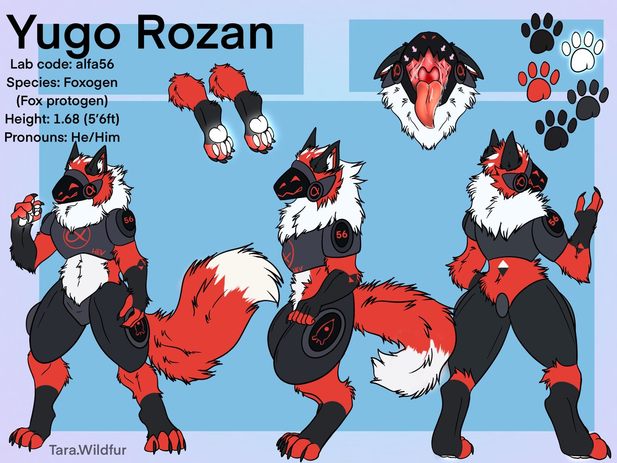 And it's here! The final stage of my ref sheet! It looks so amazing, all thanks to the lovely tiggy tara.wildfur on Instagram :3 Gosh I have a few more art pieces I got but I'm so lazy to post them x3