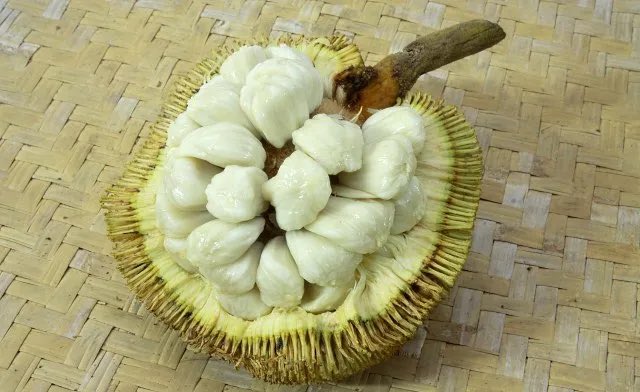 This fruit is called “Tarap”, commonly found in Sabah (Borneo Island), Malaysia. 

It has a unique flavor profile: blend of sweet, creamy, and slightly tangy/ zesty, with hints of caramel and vanilla.

It is quite a delightful tropical treat! 😄