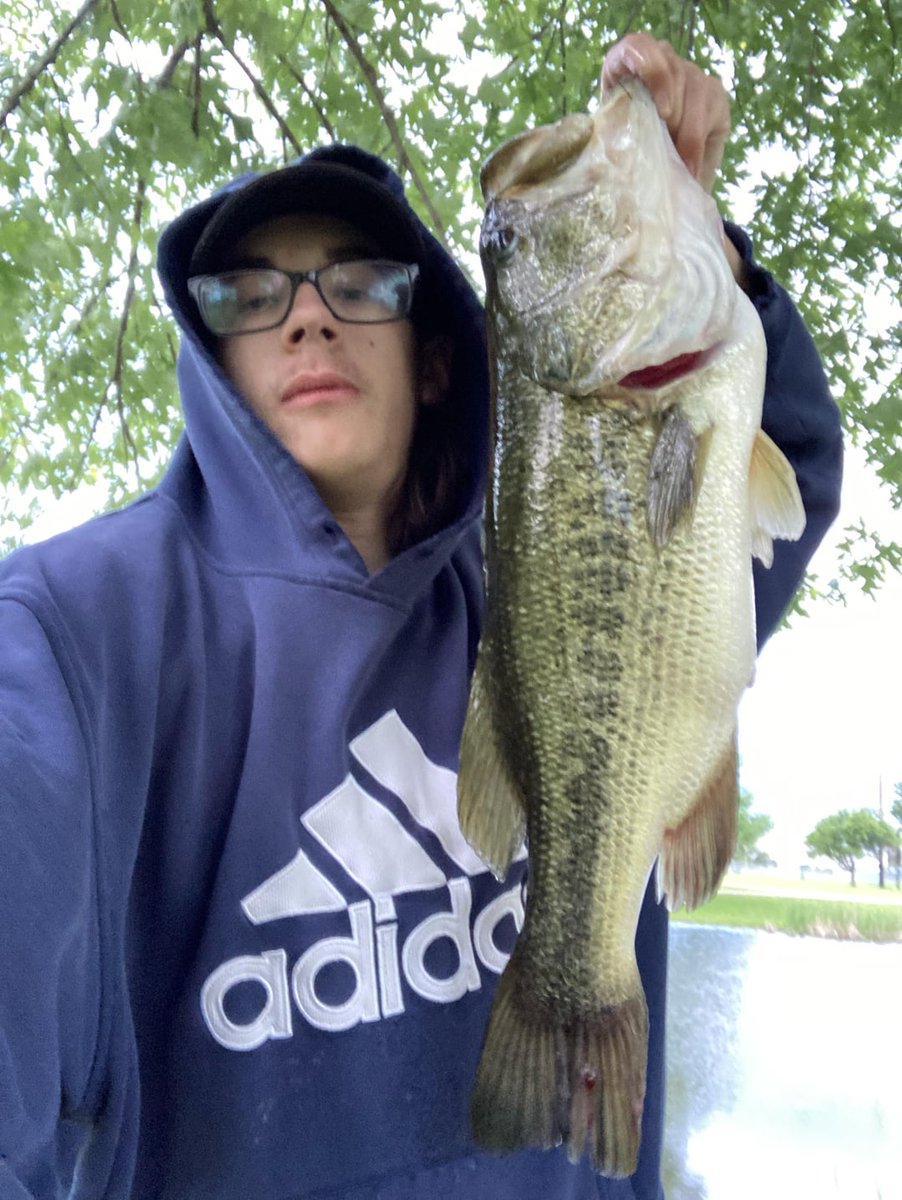 New PB at 4.34lbs. You can tell how excited I was by how bad the pics were. flakefood.com/513210/new-pb-… #BassFishing #Fishing