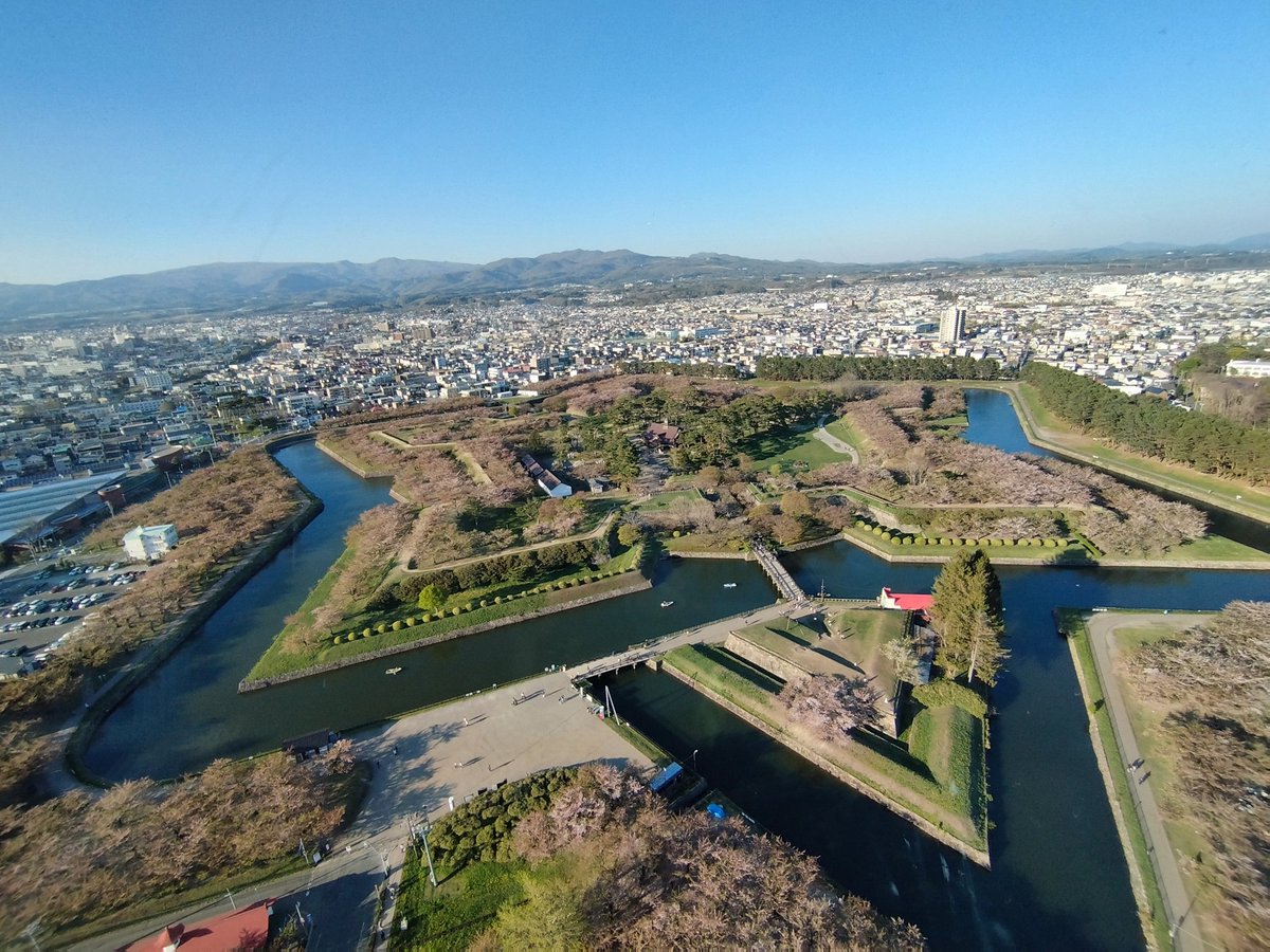 観光地やらしたら天下一品やけど…桜の見頃としてはイマイチやな…(2024/5/3)
 ※行くのが遅いだけなので自業自得
#そう巡礼地
#100万ドルの五稜星