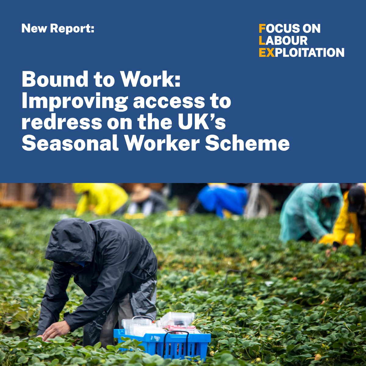 Today we launch our new report on agricultural work in the UK. This report – the 2nd in our series on the seasonal worker visa – sheds light on the conditions that are leaving thousands of people trapped in cycles of debt. Read it here:bit.ly/3UpNYRD 🧵